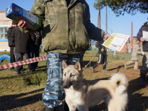 выстовка 2012г