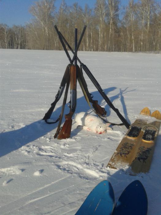Заяц в шалаше.