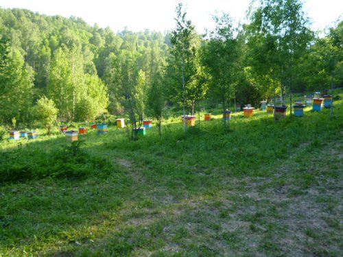 зима приелась лета хочица )