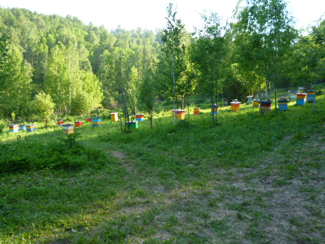 зима приелась лета хочица )