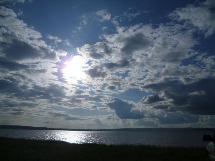 Беле