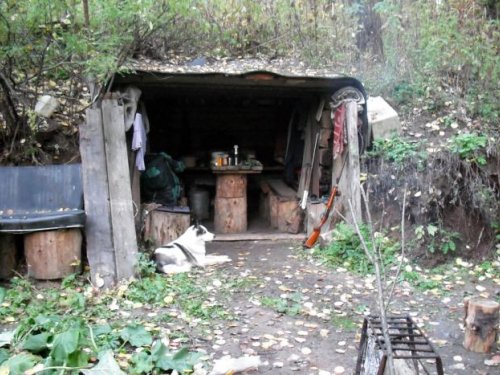 "Номер люкс" с открытым видом на лес