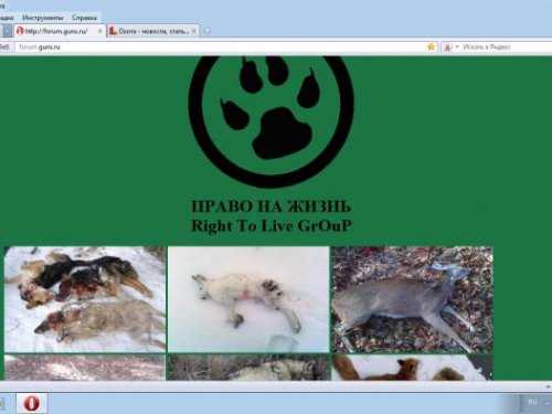 guns.ru "убили"