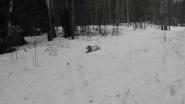открытие весенней охоты - 16 апреля 2011г