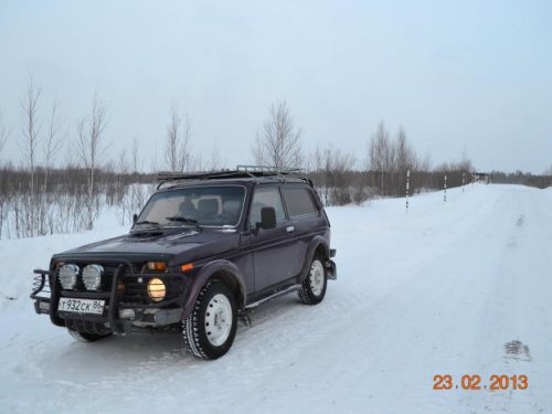 помошник в охоте