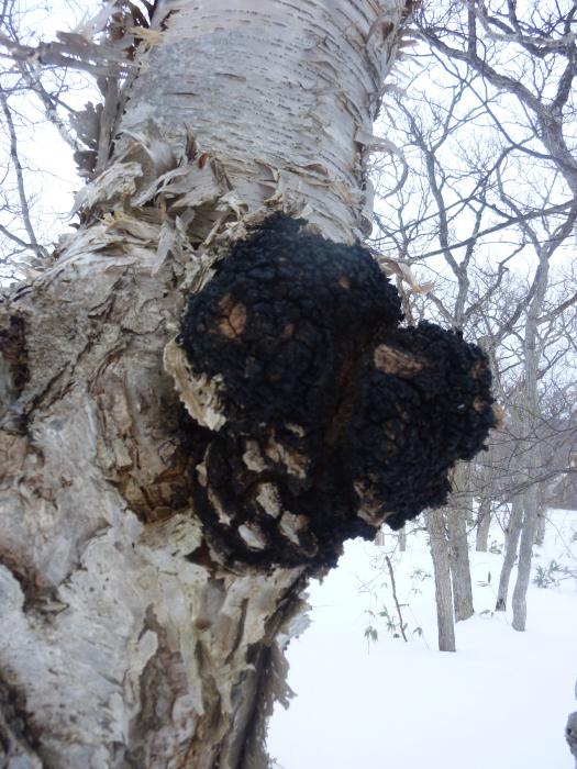 Будет чаек хороший и полезный... 