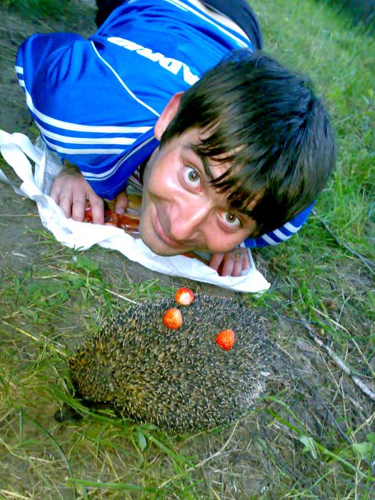 ...а клубничный дождик мой )))))