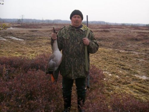 весна 2012