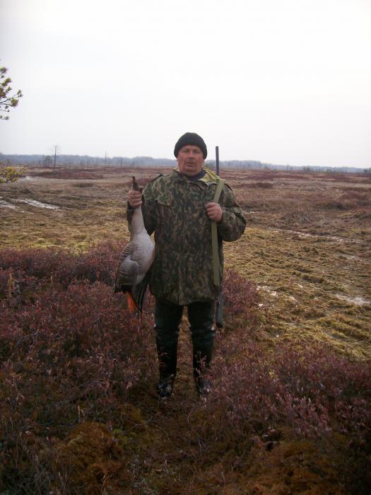 весна 2012