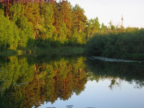 Кашлам