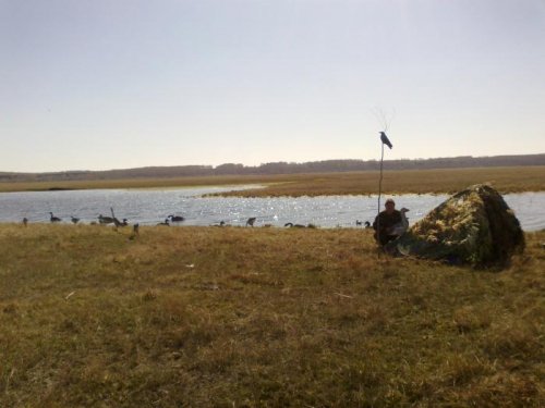 Весна 2012