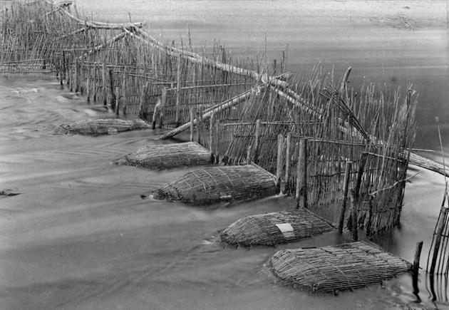 ловушки-морды на р.Ясачная 1903г