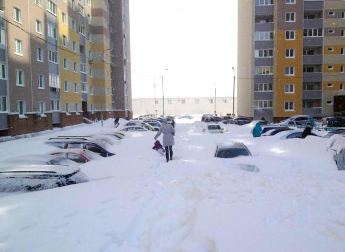 Пришла весна, совсем нежданно..