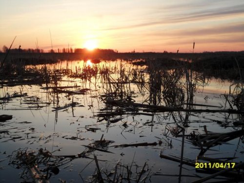 Восход.Весна 2011год
