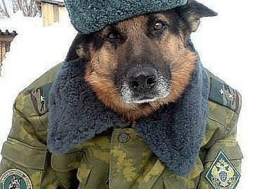 по теме