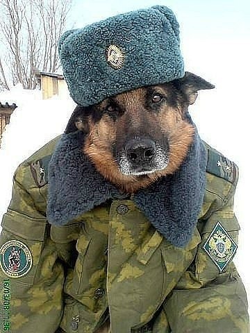 по теме