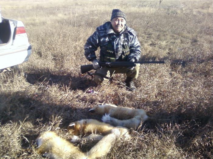 Алтай,1 ноября 2012,отец с моими лисами))