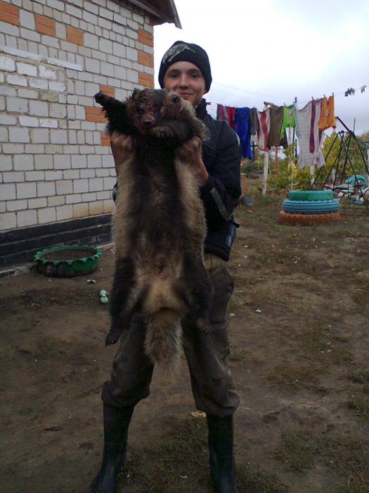 хорош!