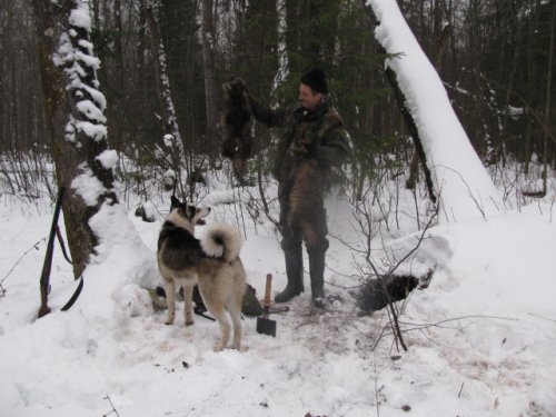  не убежали
