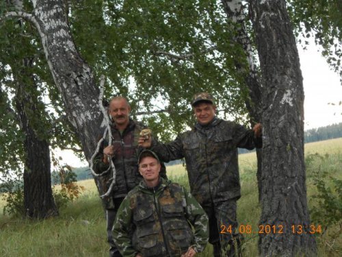 Почти бригада