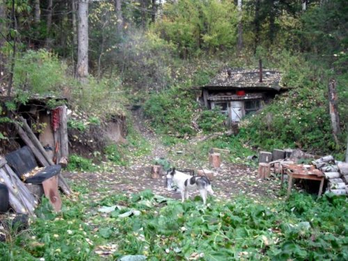 Жилище в тайге