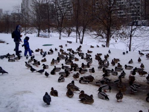 МОСКВА 20.03.2013