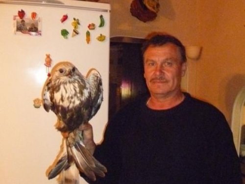 Нашли подранок