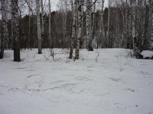 Намело прилично в этом году.......