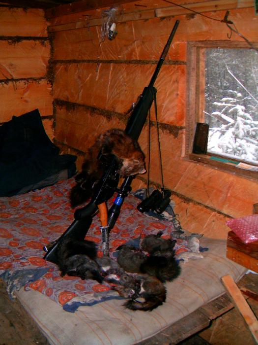 дневная добыча