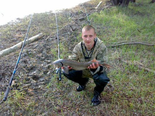Пока нет охоты я на рыбалки .