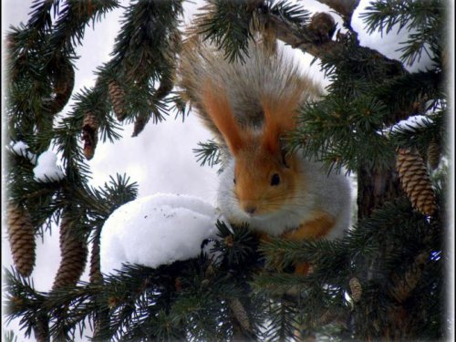 У себя дома.