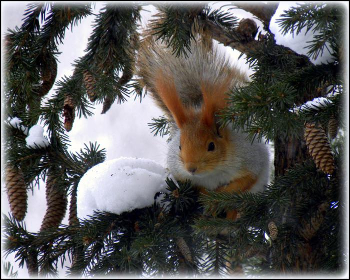 У себя дома.