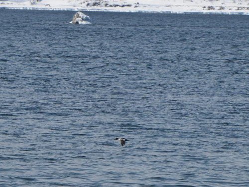 Шаман-камень