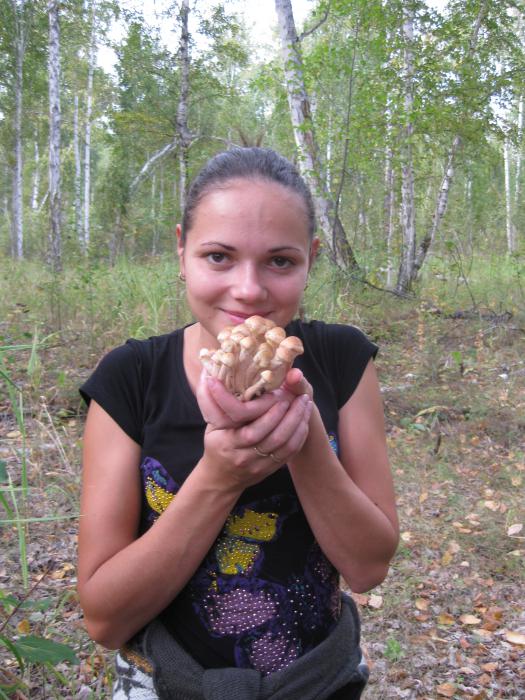 Осень2012