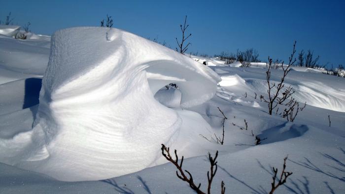 скульптор сама природа