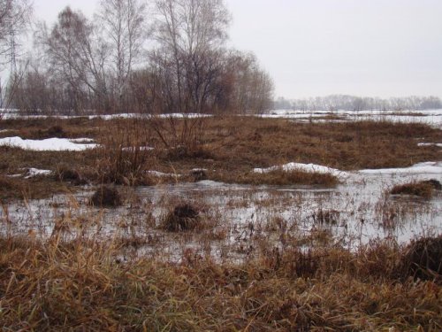 Весна,разлив.