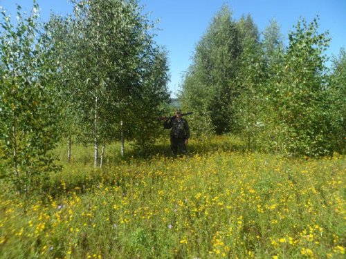 родное