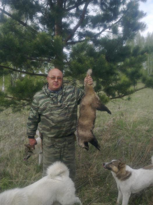 Охота с собаками