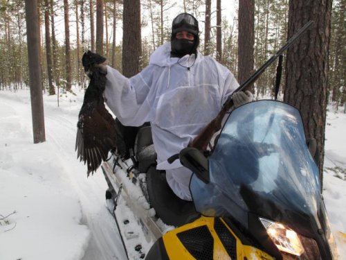 Глухарик !