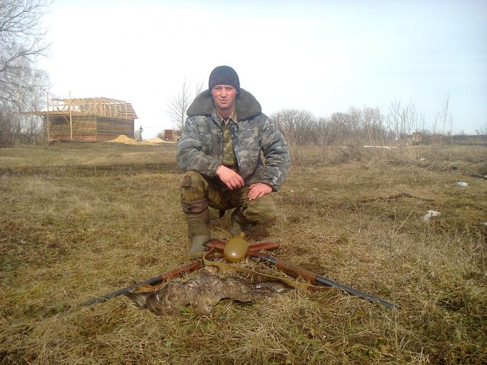 добыт проказник
