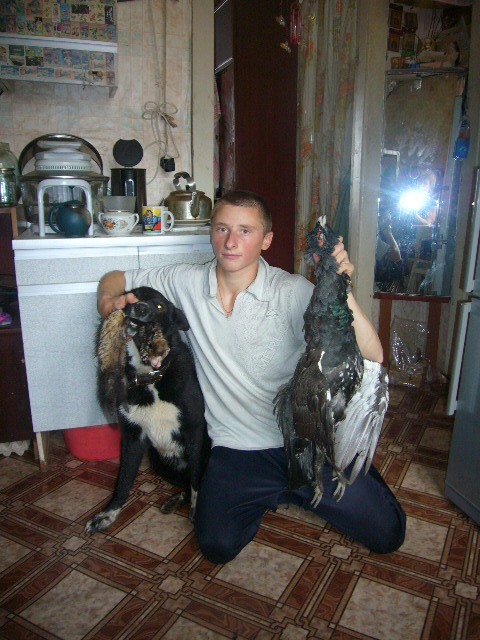 глухарь и куница