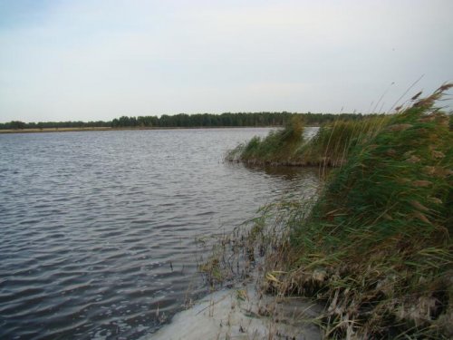 ВЕТРЕННО