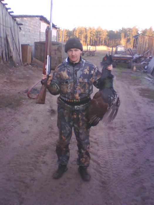 дома