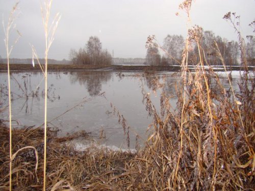 Разливчик