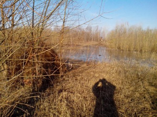 Вид на подсадную.