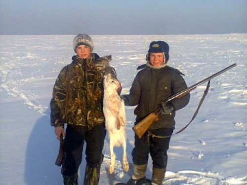 зайчик.