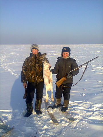 зайчик.