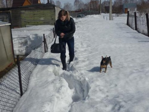 Жинка "лезит" на дачу, на шашлычёк.....))))