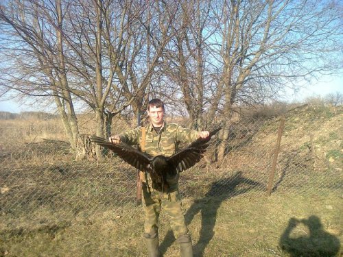 ворон