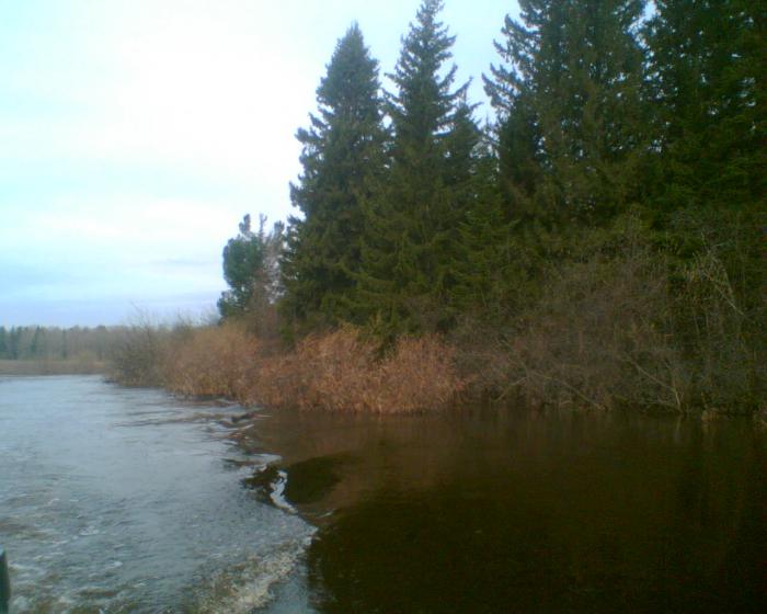 на Шегарке